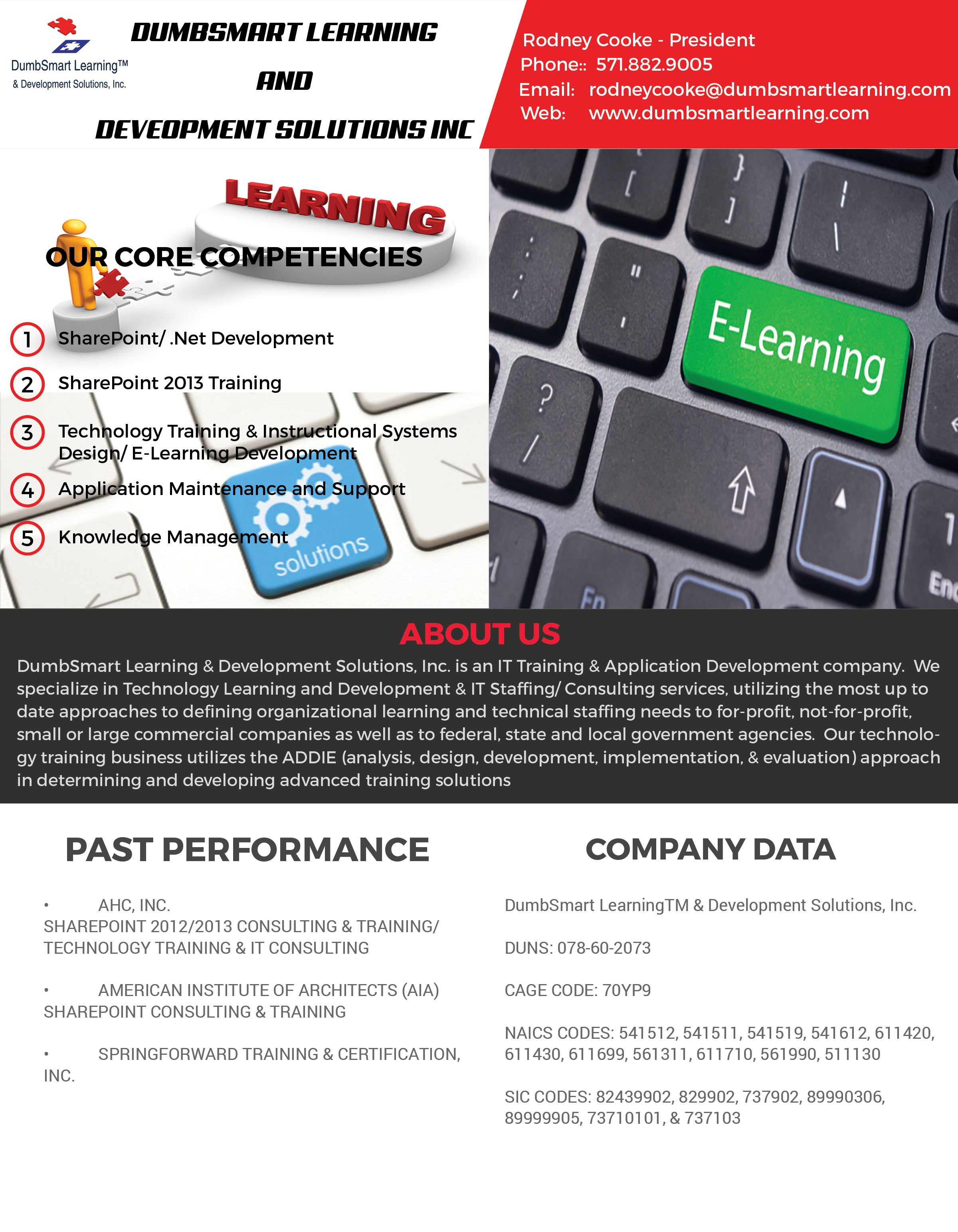 assets/dslds-capabillity-statement.png